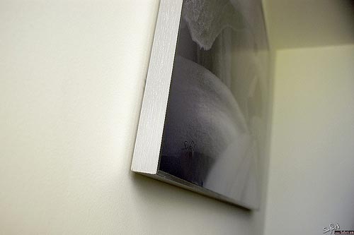 Untitled (detail) by Anastasiy Safari, Custom made silver frame, 2010